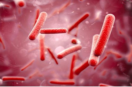 GutSave Ingredient - Bifidobacterium Lactis BL-04