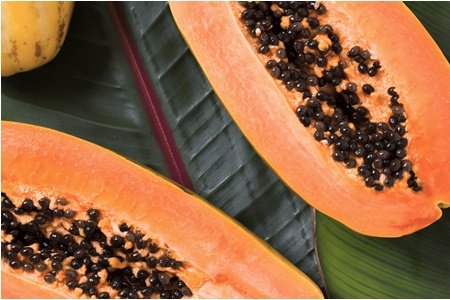 GutSave Ingredient - Papaya Seed Powder